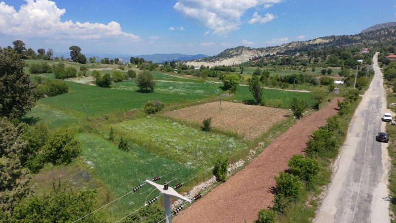 ÇAMELİ KINIKYERİ 400M2 Tarla