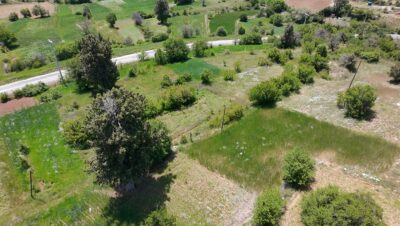 ÇAMELİ KINIKYERİ 400M2 Tarla
