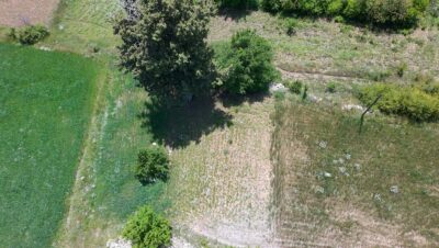 ÇAMELİ KINIKYERİ 400M2 Tarla