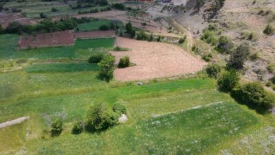 ÇAMELİ KINIKYERİ 400M2 Tarla