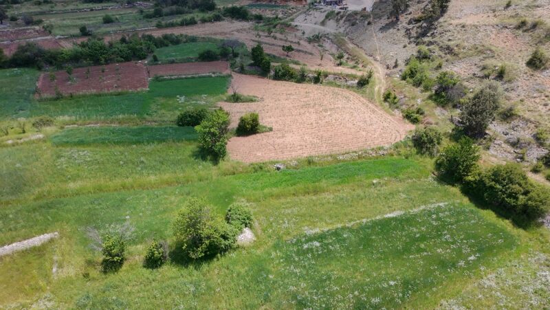 ÇAMELİ KINIKYERİ 400M2 Tarla