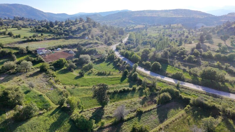 ÇAMELİ KINIKYERİ 400M2 Tarla