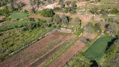 ÇAMELİ KINIKYERİ 400M2 Tarla
