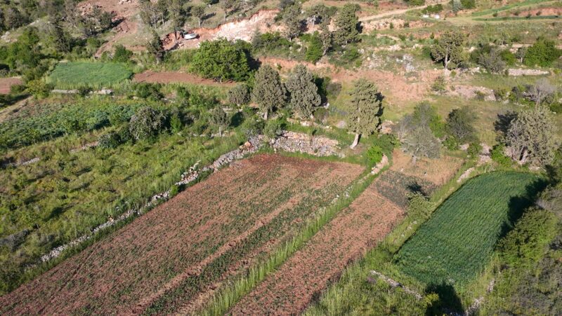 ÇAMELİ KINIKYERİ 400M2 Tarla