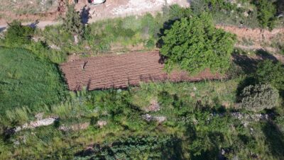 ÇAMELİ KINIKYERİ 400M2 Tarla